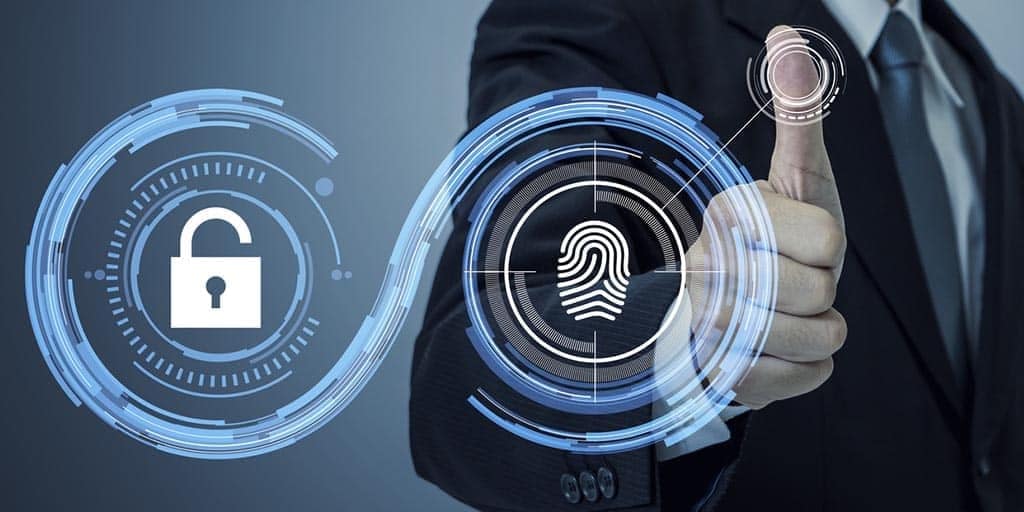 5 Key Cybersecurity Basics for Businesses in Texas